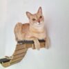 Combo Rascador Toto para Gatos Grandes - Gatomanias