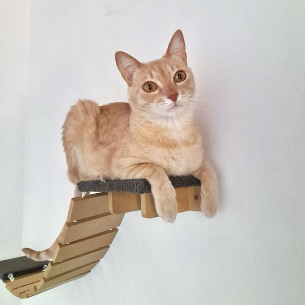 Combo Rascador Toto para Gatos Grandes - Gatomanias