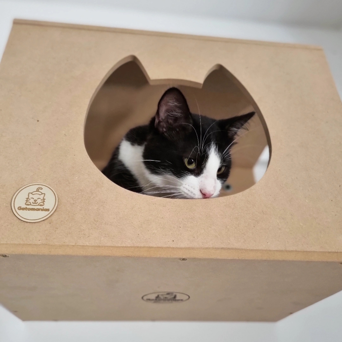 Combo Rascador Pancho - Gatomanias