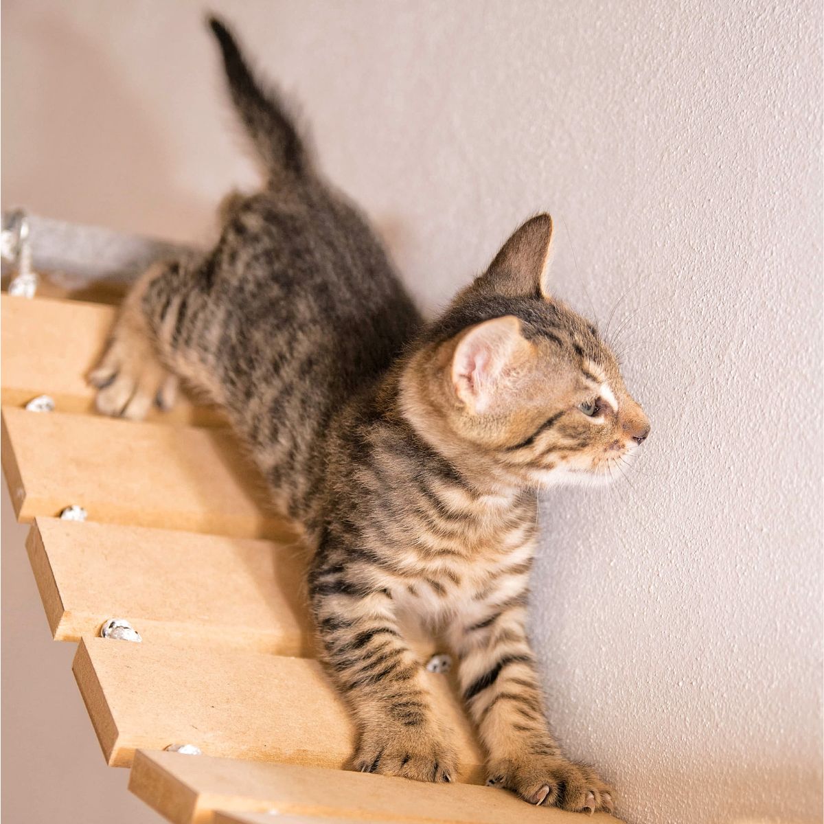 Puente Rascador de Pared Doble para Gatos Grandes - Gatomanias Puente Rascador de Pared Doble para Gatos Grandes - Gatomanias