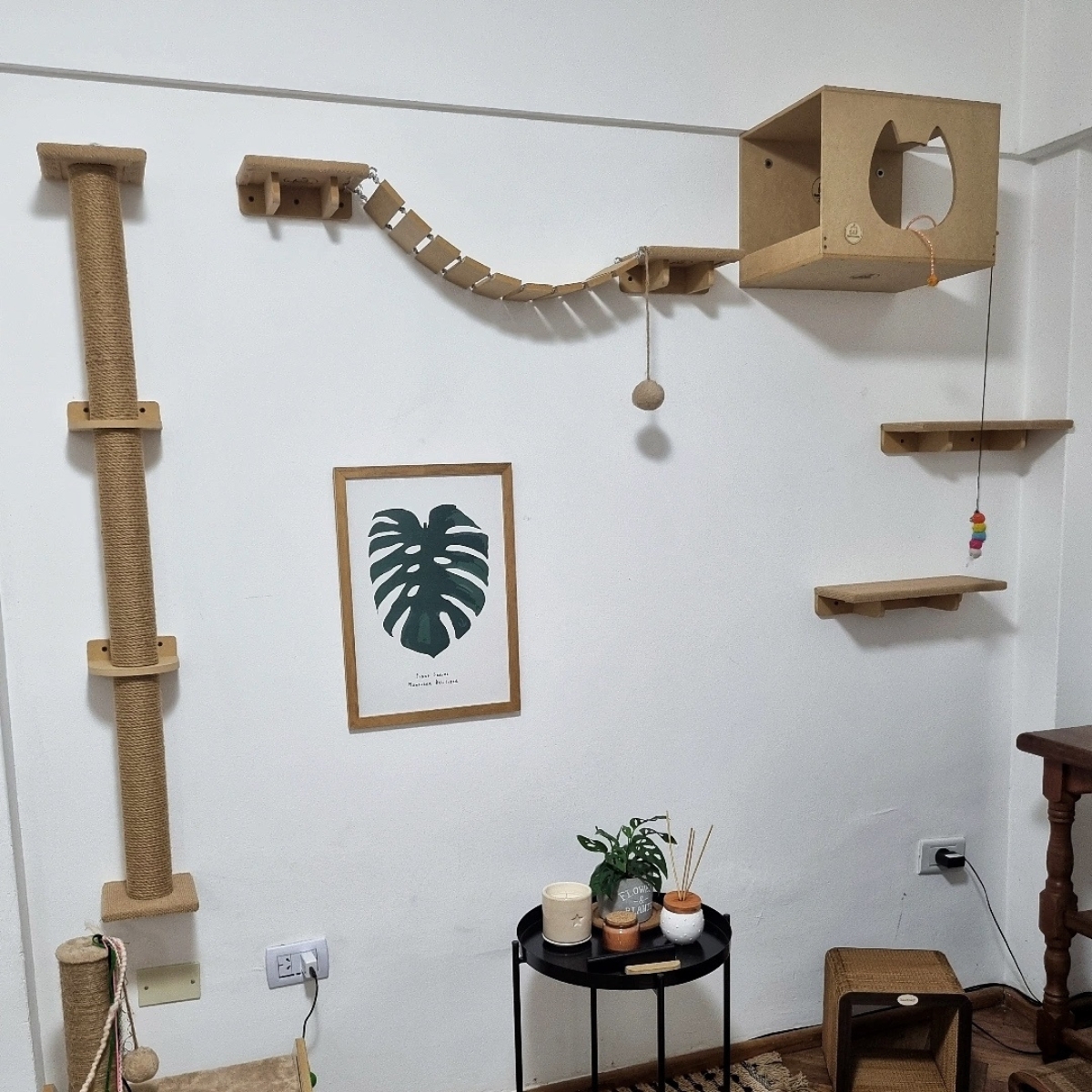 Combo Rascador Pancho para Gatos Grandes - Gatomanias