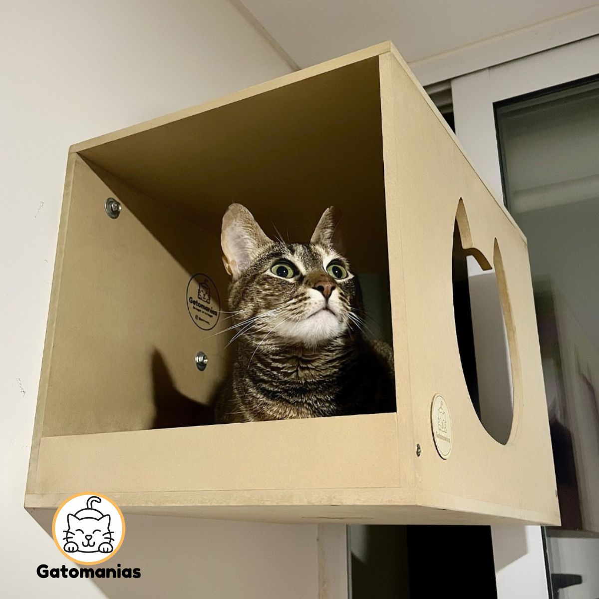 Cucha refugio para gatos - Gatomanias